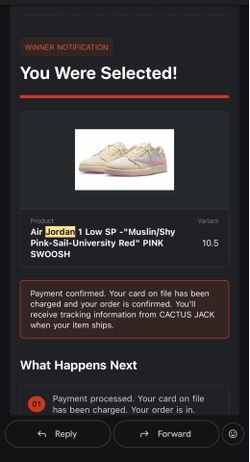 Jordan 1 Travis Scott Shy Pink size 10.5