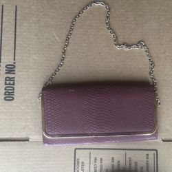 Women’s Purple Purse/Clutch 