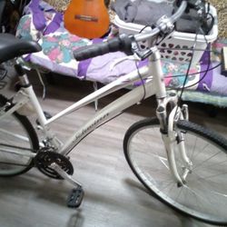 Schwinn Bike