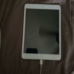 iPad 
