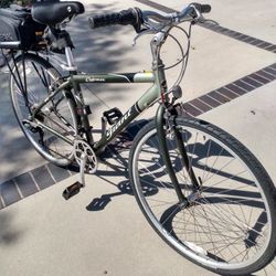 Giant Cypress, Aluminum, Just Tuned Up