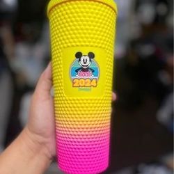 brand new tumbler from Disneyland 2024 