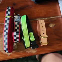 Dog Collars & Dog Leash Bundle