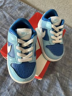 Nike Dunk Low Retos Toddler 5c