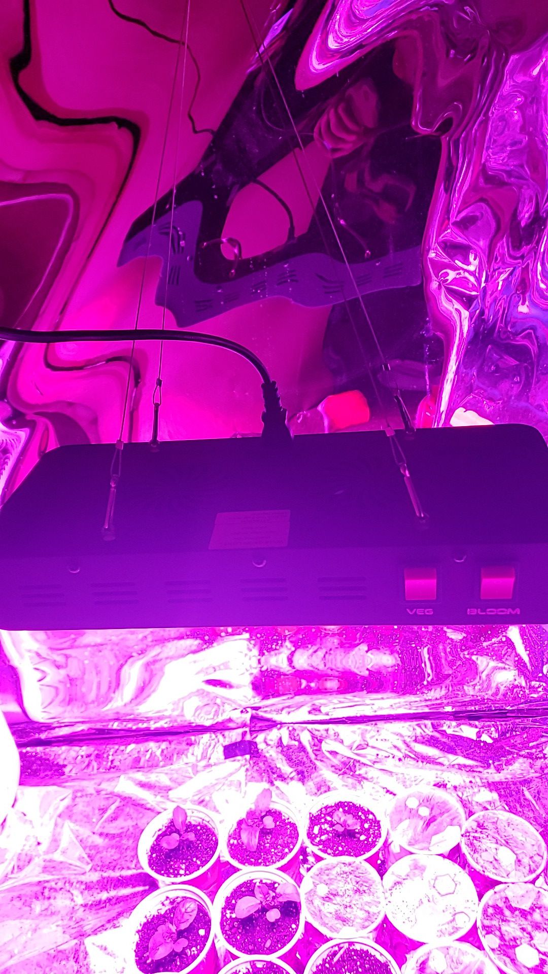 600 watt Willis Reflector LED Grow Light