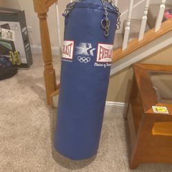 Everlast Vintage Boxing Bag