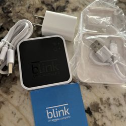 New Blink Sync Module 2 With Plug In Mount