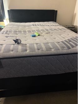 Queen size bed frame for sale (mattress not included
