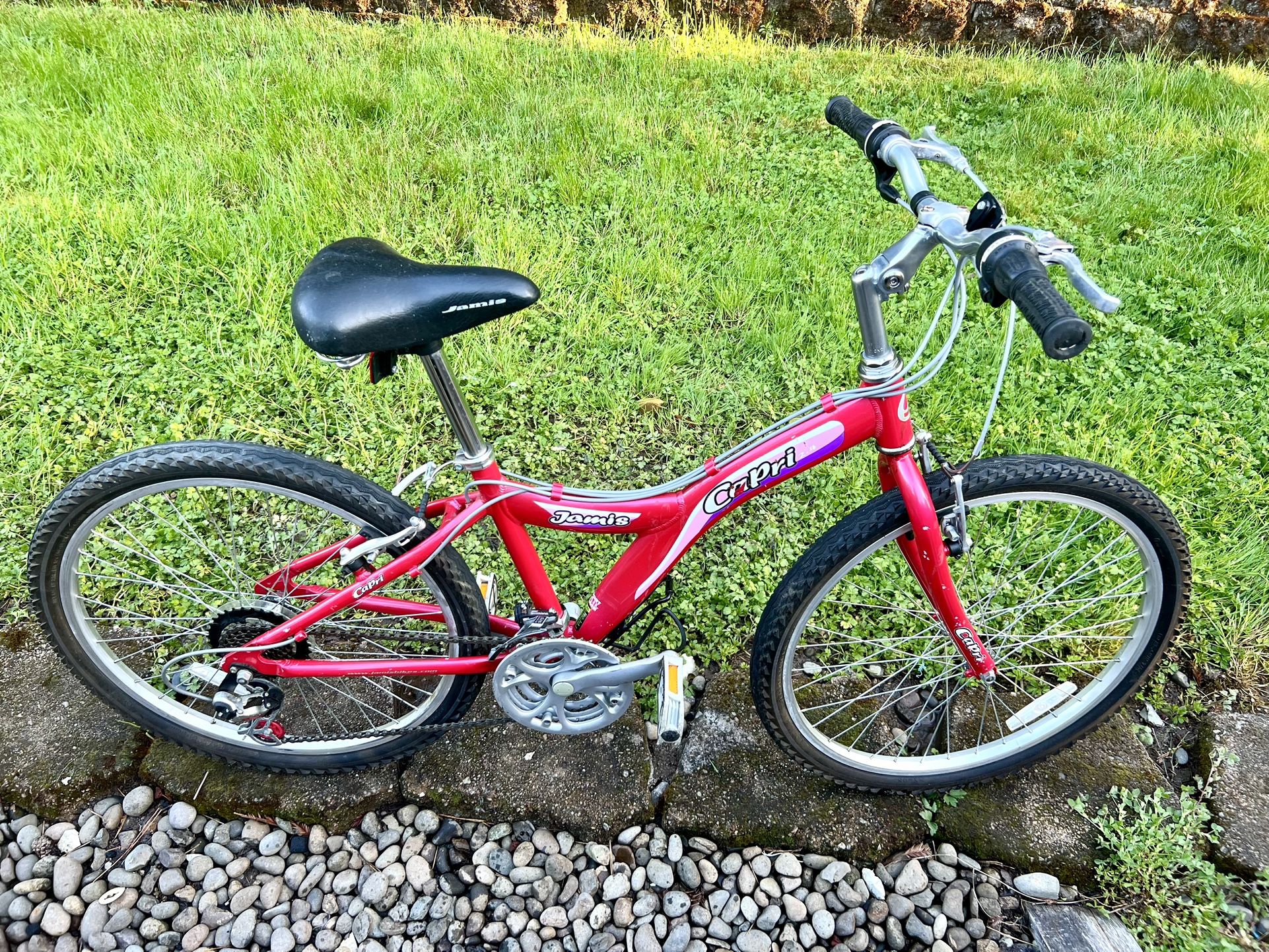 Bike 🚲 24”