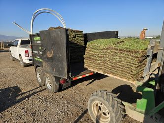//Landscaping/irrigation/grass/cleanup//
