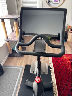 Peloton