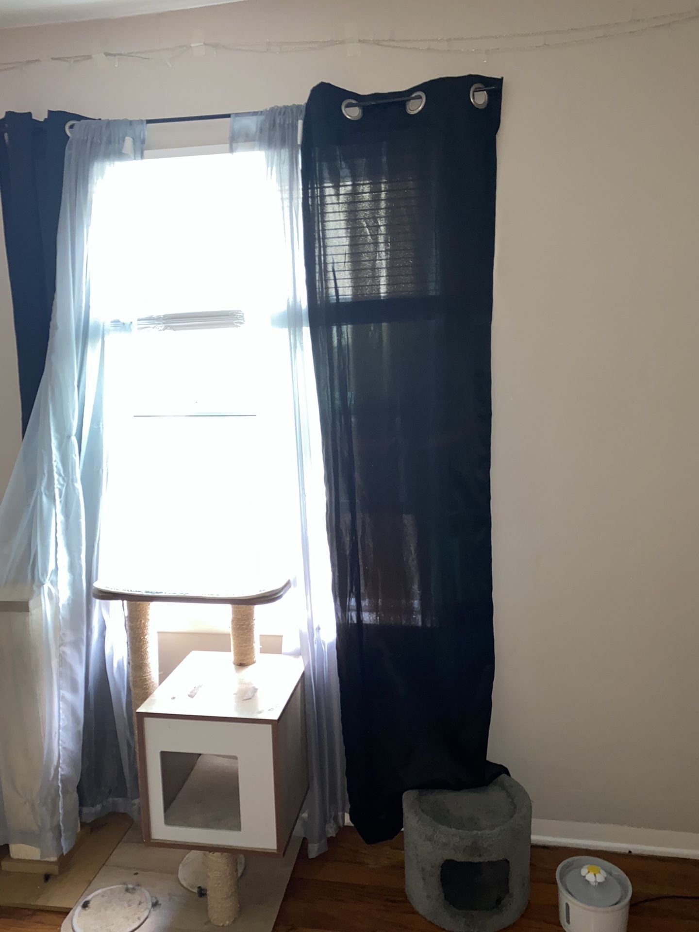 $20 window curtains 32' 80' long