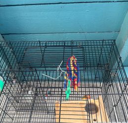 Loving bird cage