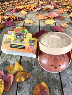 Rare Mystery Dumpling RMS Fall Leaves Dumpling Pumpkin Spice Scented Confirmed