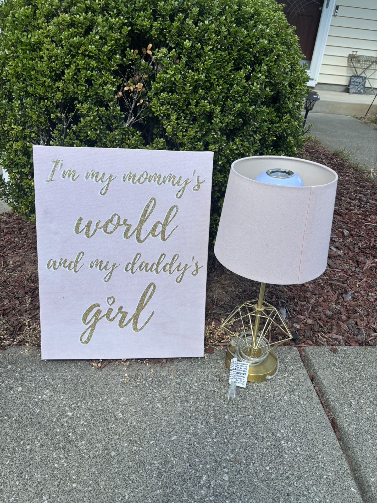 Girls Wild Decoration