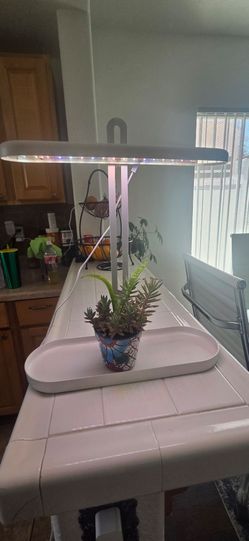 Growing light