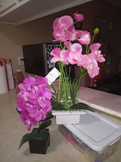 Orchid arrangement new with tags set of two tall "22 inches hot at Ross store $5 takes both of them beautiful makes any room or office beautiful 🌸