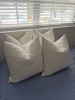 Set of 4 Square Goose down pillow