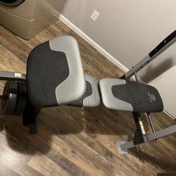 Beginner Weight Bench (No Weights Or Bar Included)