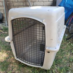 Bargain Hound plastic dog crate