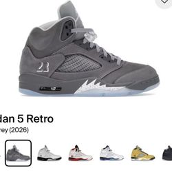 Wolf Grey Jordan 5 Size 10