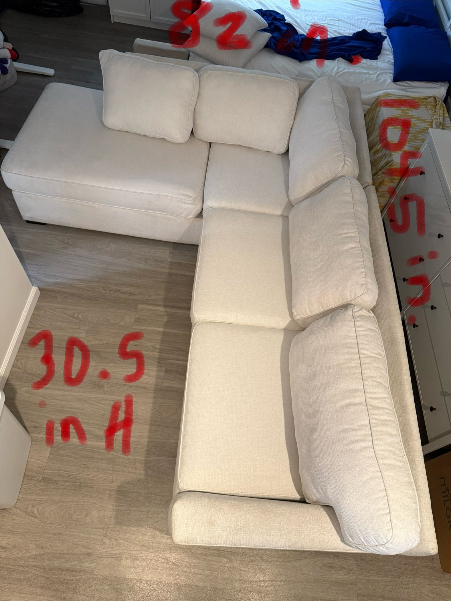 Couch with pullout Bed