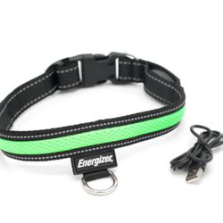 Energizer LED Rechargeable Dog Collar 