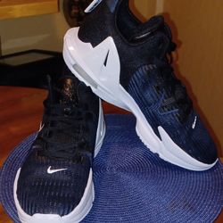 Nike LeBron Men's Size 11