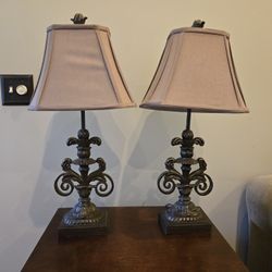 PAIR OF BEAUTIFUL LAMPS