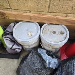 20 Gallons Of Interior Paint