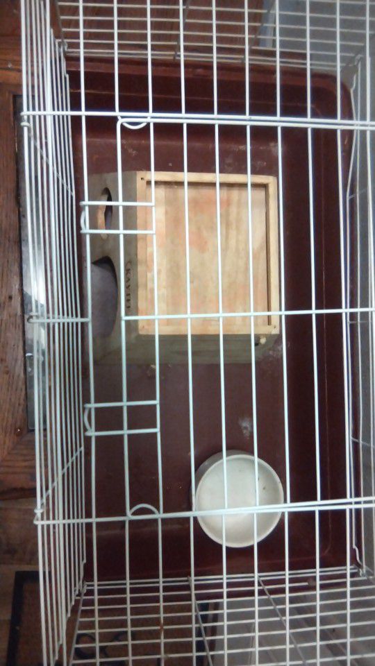 Guinea pig Cage