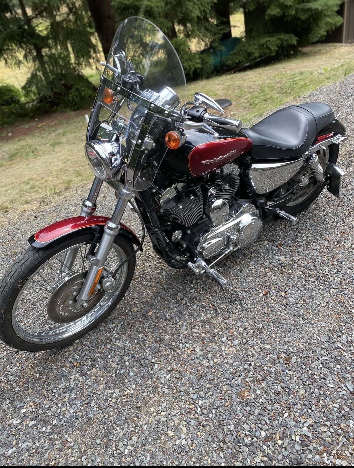 2005 Harley Davidson 1200 cc