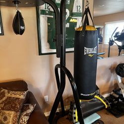 Heavy bag speed bag combo
