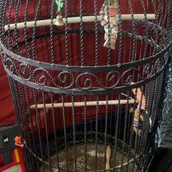 Rod Iron Bird Cage 
