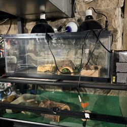 Reptile Tanks And Supplies 