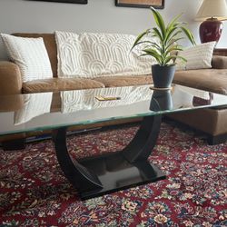 Modern Glass Coffee Table with Sculptural Black Base – $150