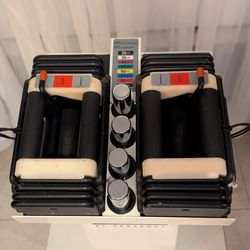 Powerblock Pro Rexan Dumbbells 5-50lbs