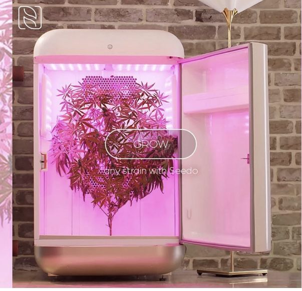 Seedo Grow Box