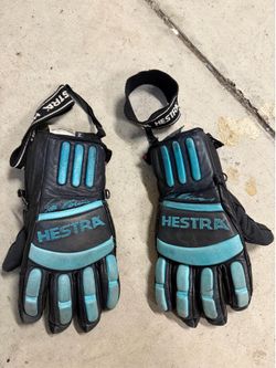 Hestra leather ski/snowboard glove