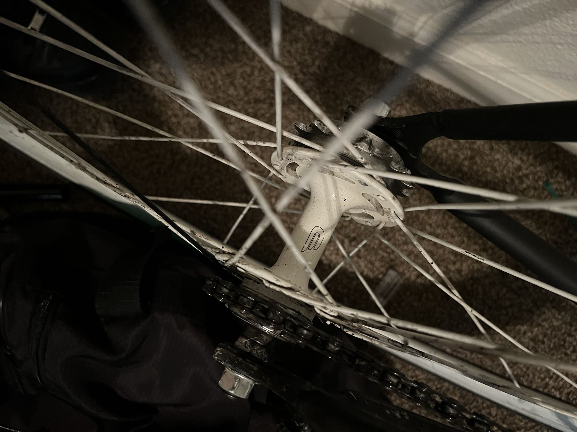 fixie rim