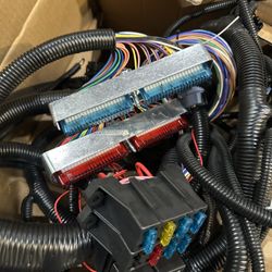 Wire Harness