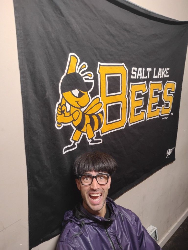 Salt Lake Bees Blanket