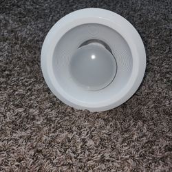 Can Ceiling Lights. I have 14 of them.  $5ea