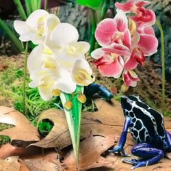 2 Pieces Artificial Phalaenopsis with Suction Cups Terrarium Plant Decoration Reptile Habitat Plant Decor for Hermit Crab Lizards Geckos Snake Reptile