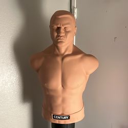 Bob punching bag