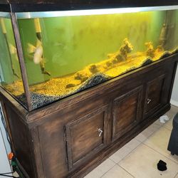 125 Gallon Fish Tank 