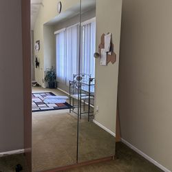 Mirrored Closet 