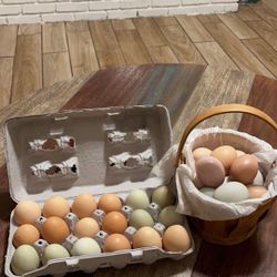 Eggs 