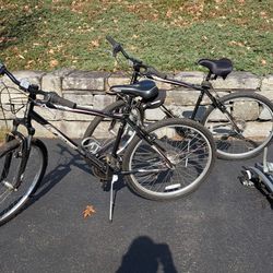 Pair of Raleigh Talus 2.0 bikes and Saris carrier