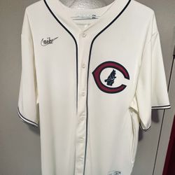 Field Of dreams Cubs Autographed Throwback Fergie Jenkins Jersey